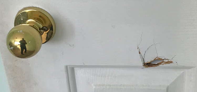 interior door hole repair East Foothills